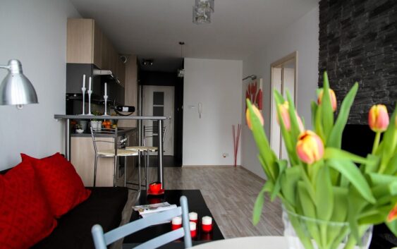 apartment, room, nature, flower background, flower wallpaper, house, residential interior, interior design, decoration, comfortable apartment, beautiful flowers, kitchenette, flowers, tulips