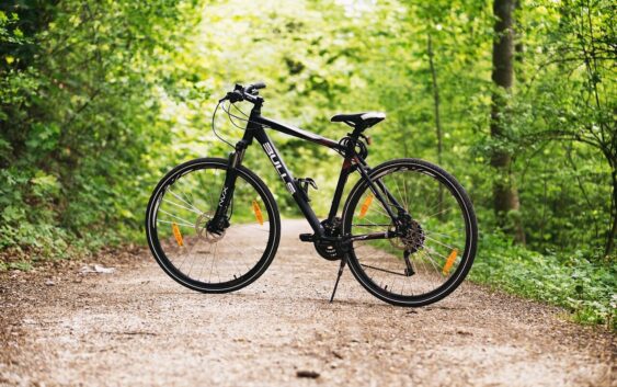 bicycle, bike, forest, path, sports, outdoors, dirt road, mountain bike, wheels, bicycle wheels, parked, park, nature, woods